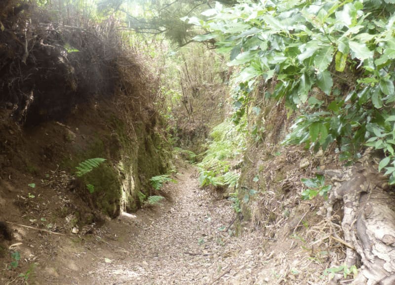 La Palma Wandern Pfad beim Barranco de Agua