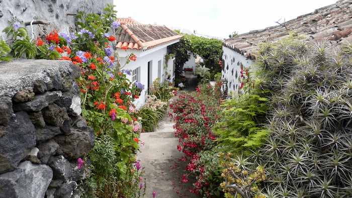 La-Palma-Wandern-Spazierwanderung-bei-Villa-de-Mazo