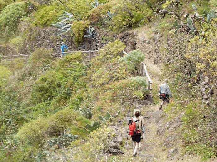 La Palma Wandern schöner Pfad